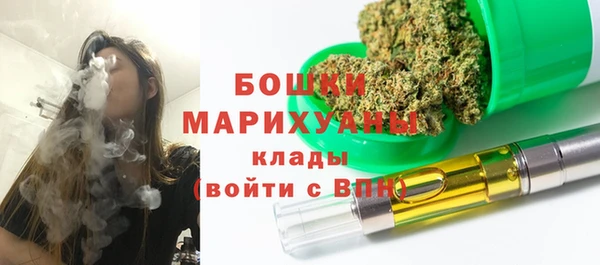 мдпв Осинники