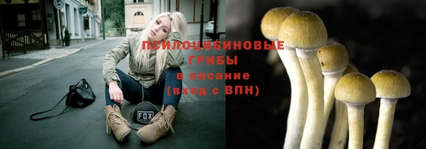 мдпв Осинники