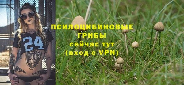 Альфа ПВП Остров