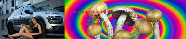 мдпв Осинники