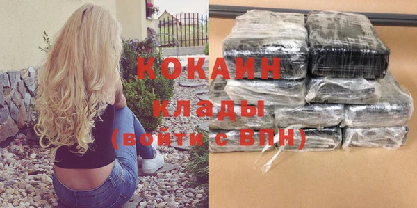 мдпв Осинники