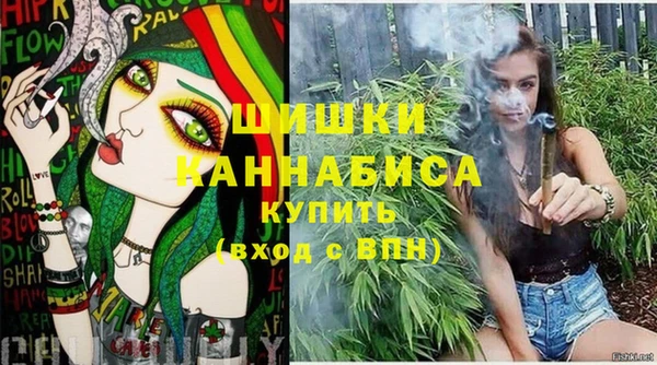 мдпв Осинники