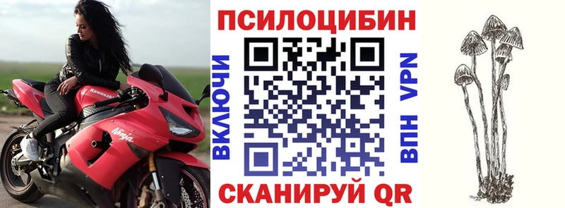 Галлюциногенные грибы GOLDEN TEACHER  Купить  Черкесск 